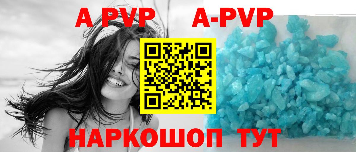 Альфа ПВП СК КРИС  А ПВП крисы CK  Братск  Вход с VPN 