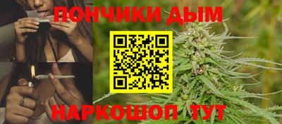 сатива Усть-Джегута