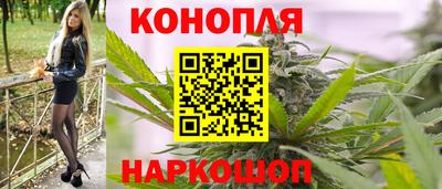 сатива Усть-Джегута